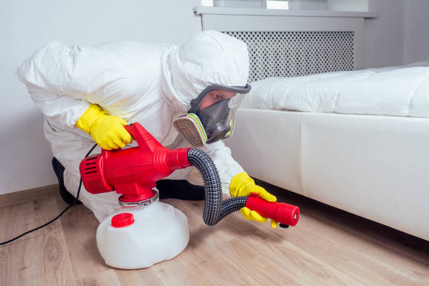 Best Bed Bug Extermination  in Ogden, NC